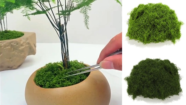 Amazon｜CHASO 苔 コケ モス フェイクグリーン 観葉植物 盆栽 ジオラマ